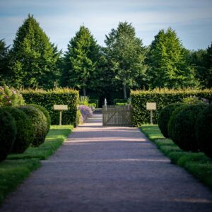 A serene garden pathway in Skåne län, Sweden, featuring manicured hedges and lush trees on a summer day.